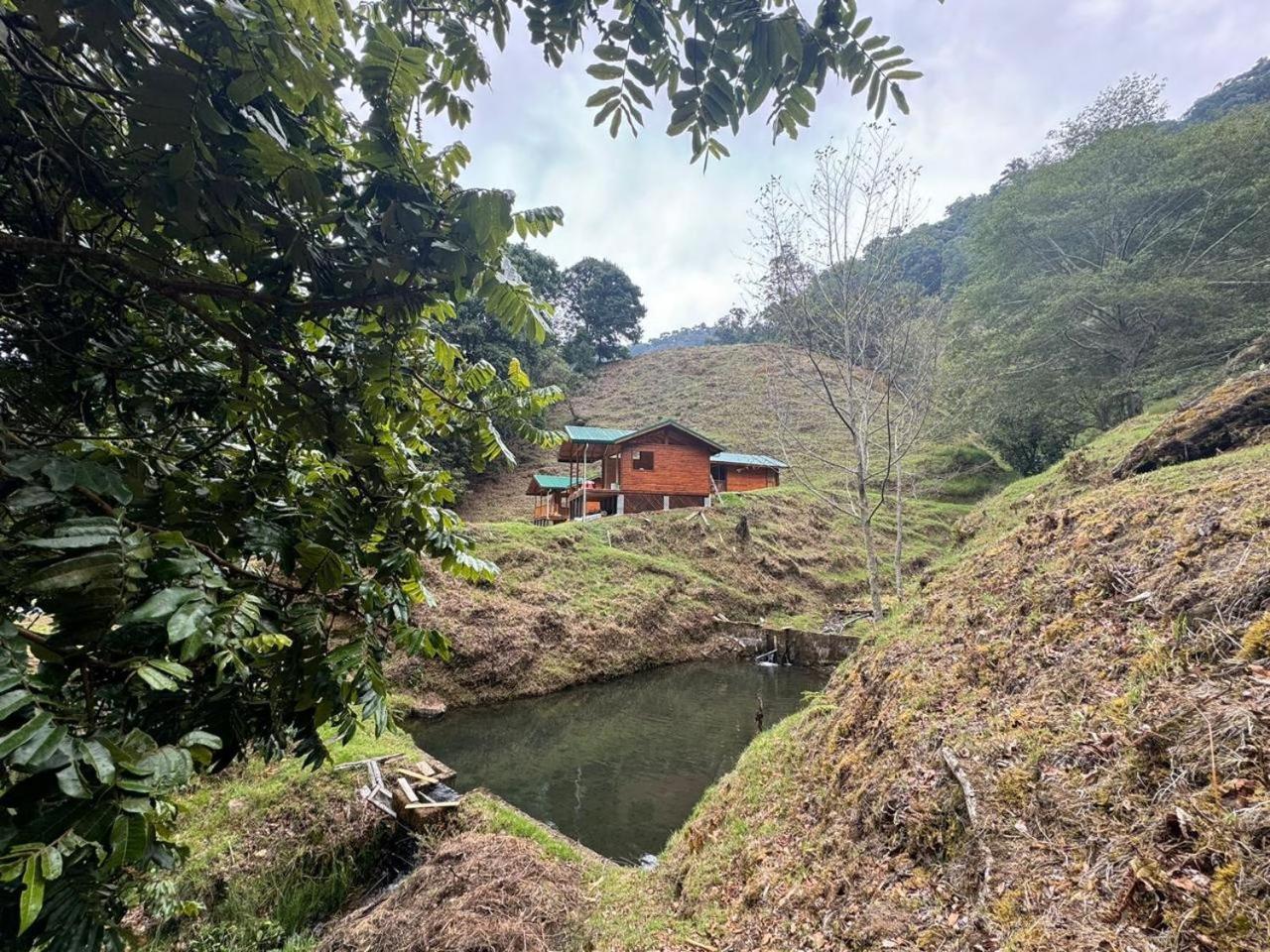 Entre Arboles Lodge San Gerardo de Dota Luaran gambar