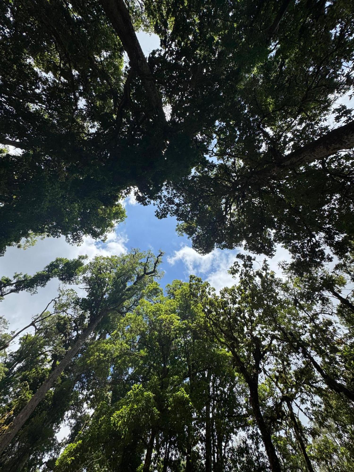 Entre Arboles Lodge San Gerardo de Dota Luaran gambar