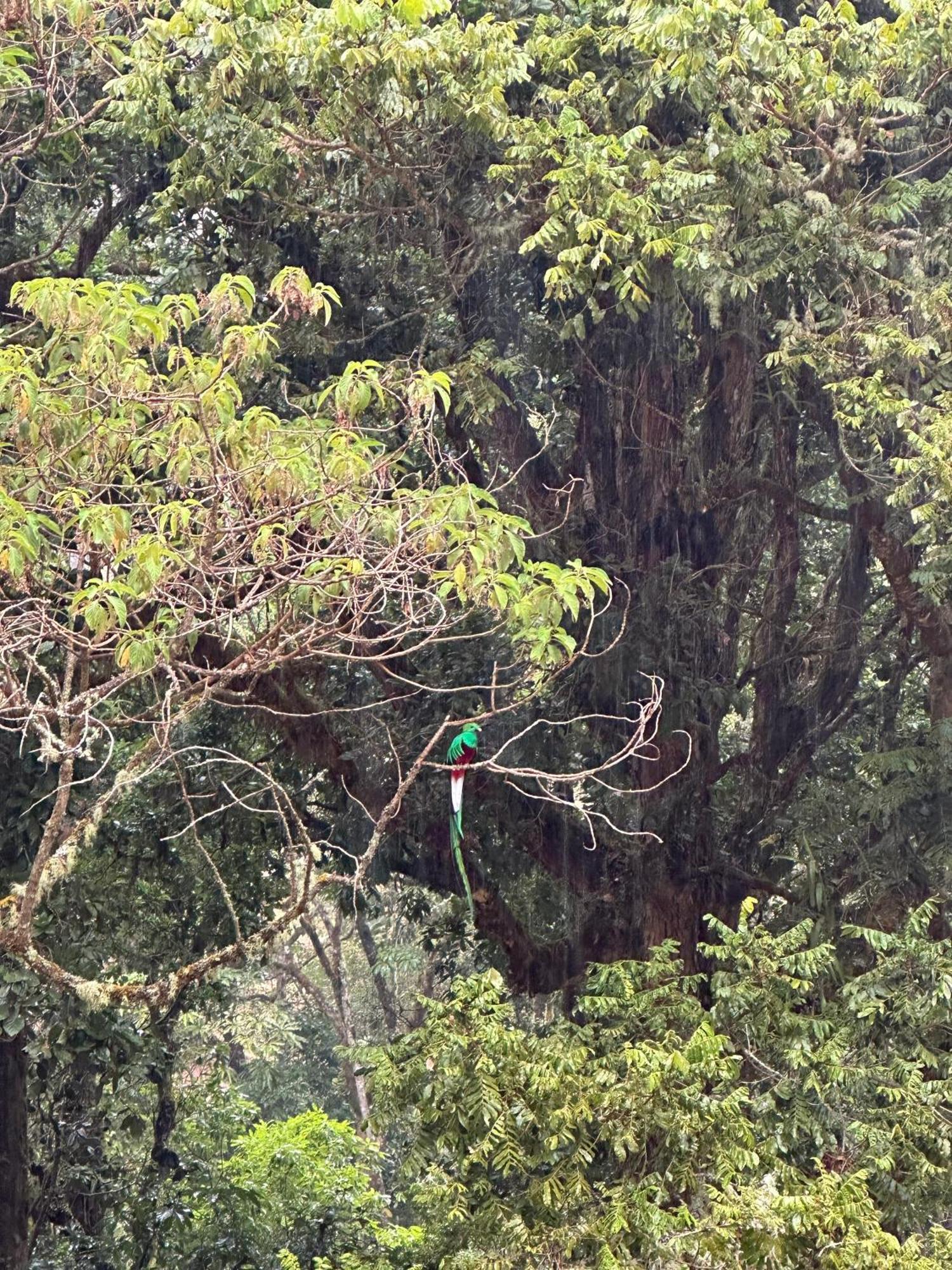 Entre Arboles Lodge San Gerardo de Dota Luaran gambar