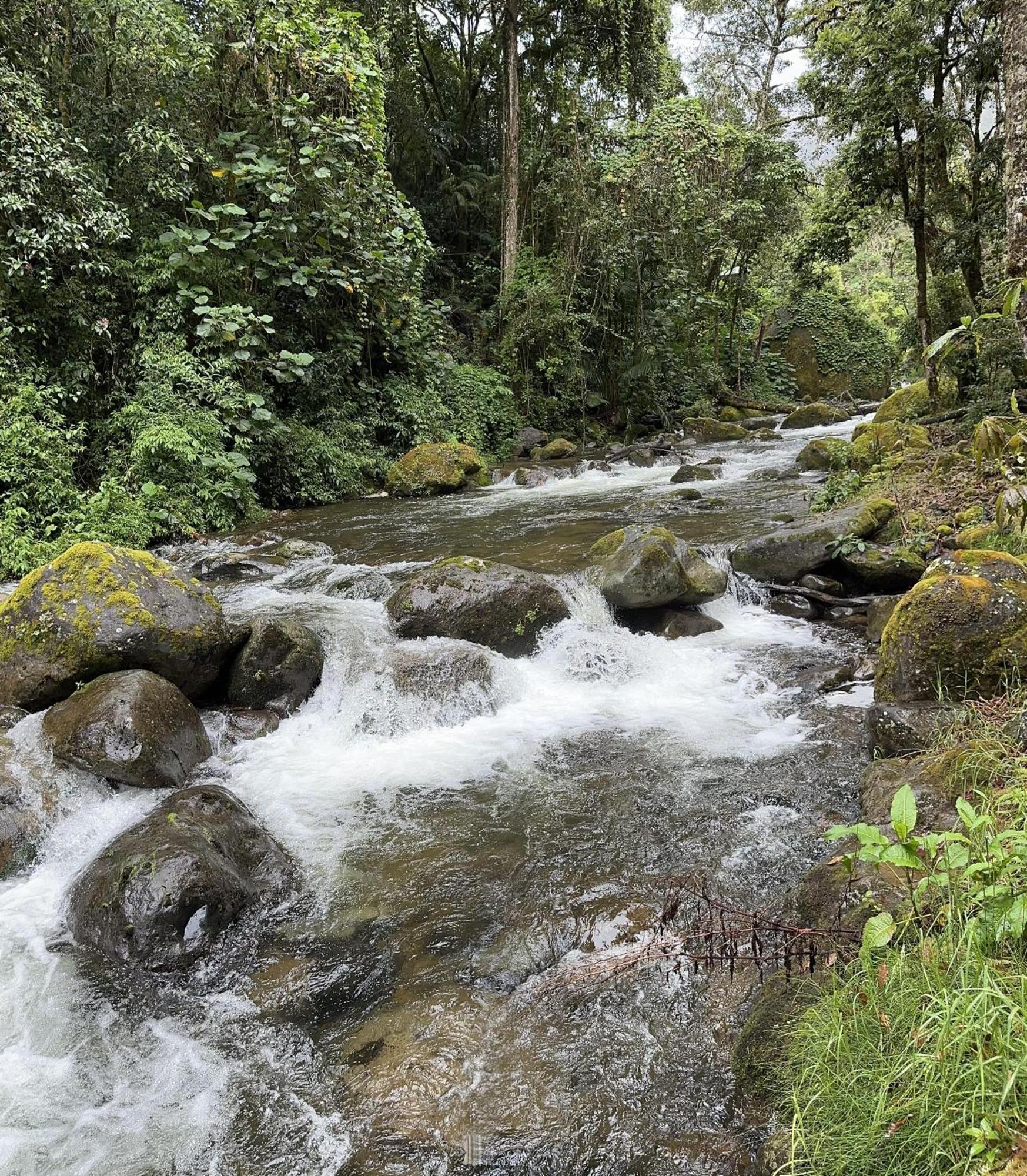 Entre Arboles Lodge San Gerardo de Dota Luaran gambar