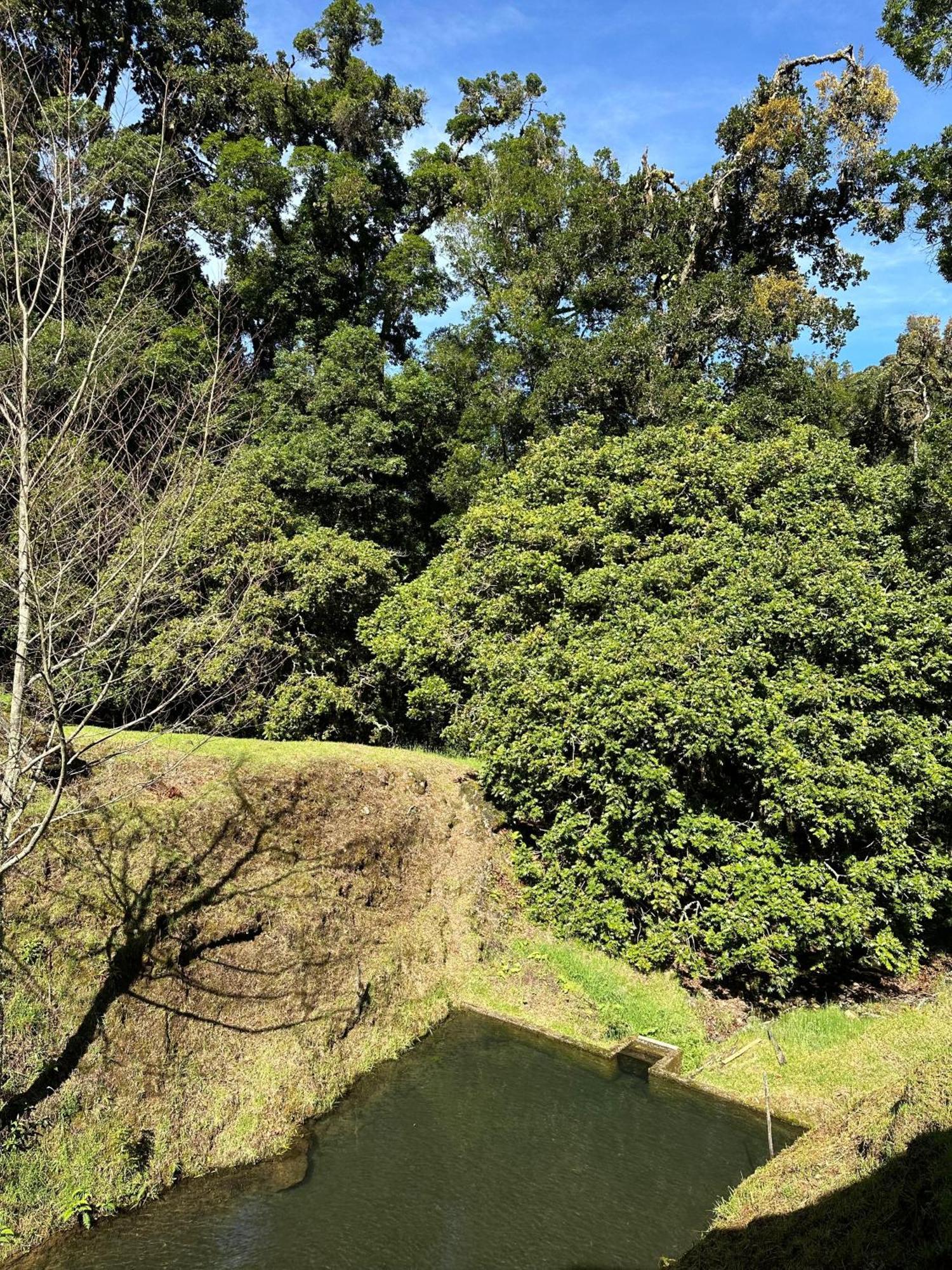 Entre Arboles Lodge San Gerardo de Dota Luaran gambar