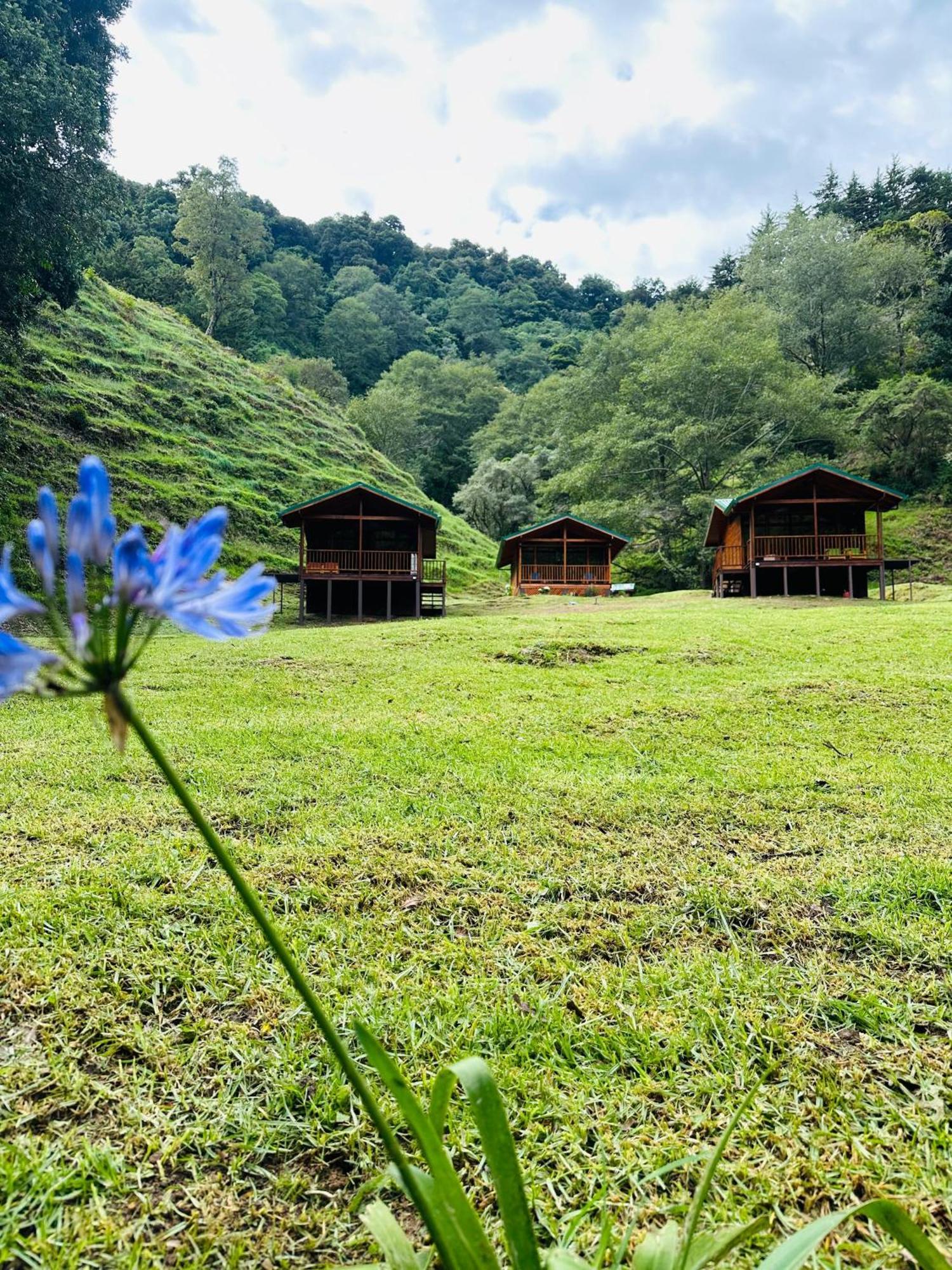 Entre Arboles Lodge San Gerardo de Dota Luaran gambar