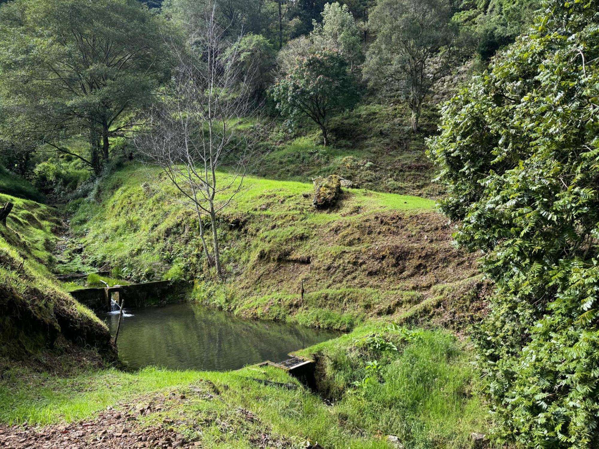 Entre Arboles Lodge San Gerardo de Dota Luaran gambar