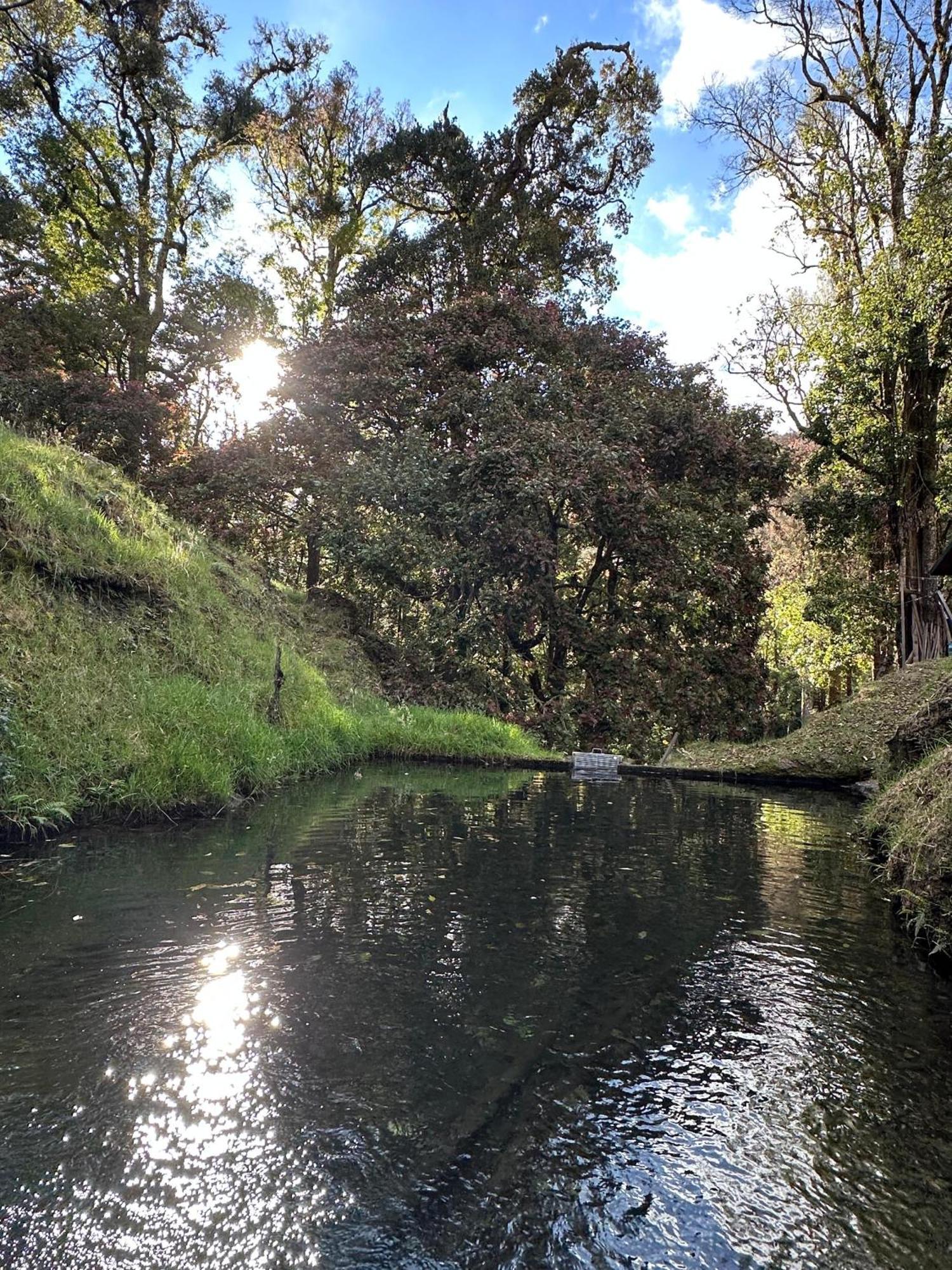 Entre Arboles Lodge San Gerardo de Dota Luaran gambar