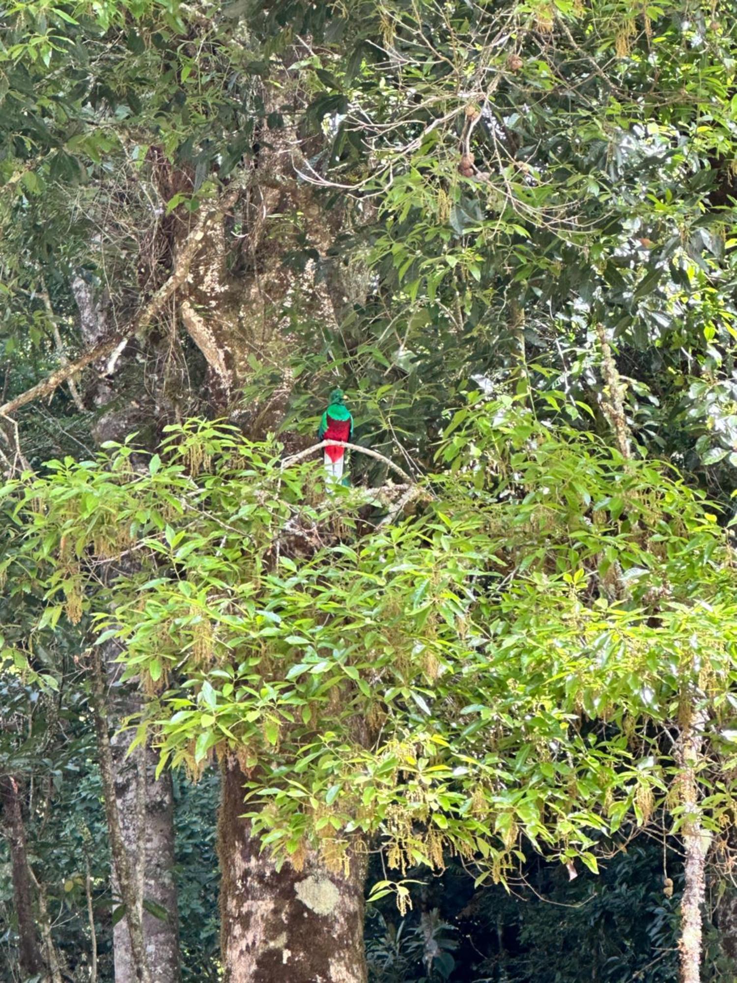 Entre Arboles Lodge San Gerardo de Dota Luaran gambar