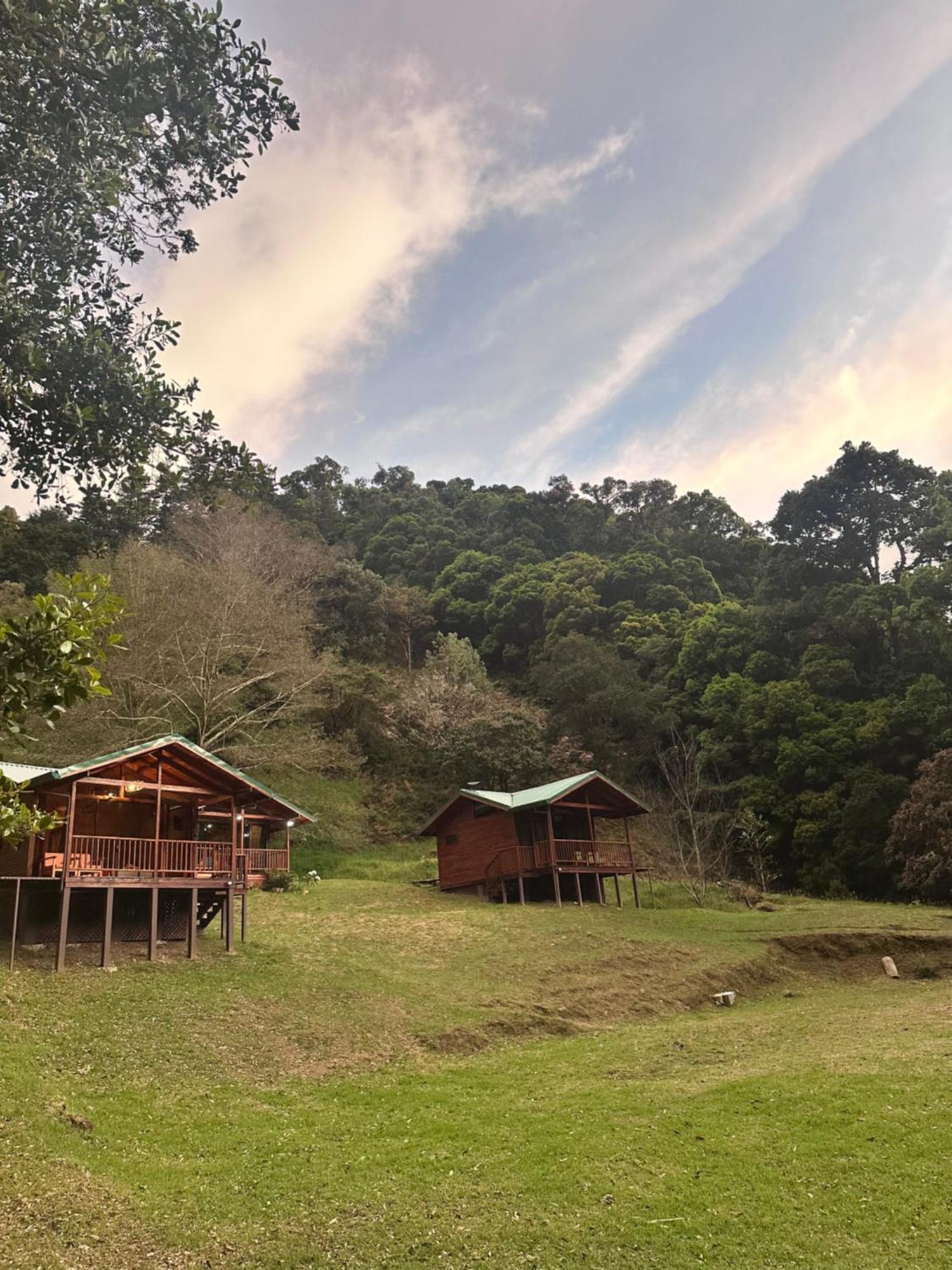 Entre Arboles Lodge San Gerardo de Dota Luaran gambar