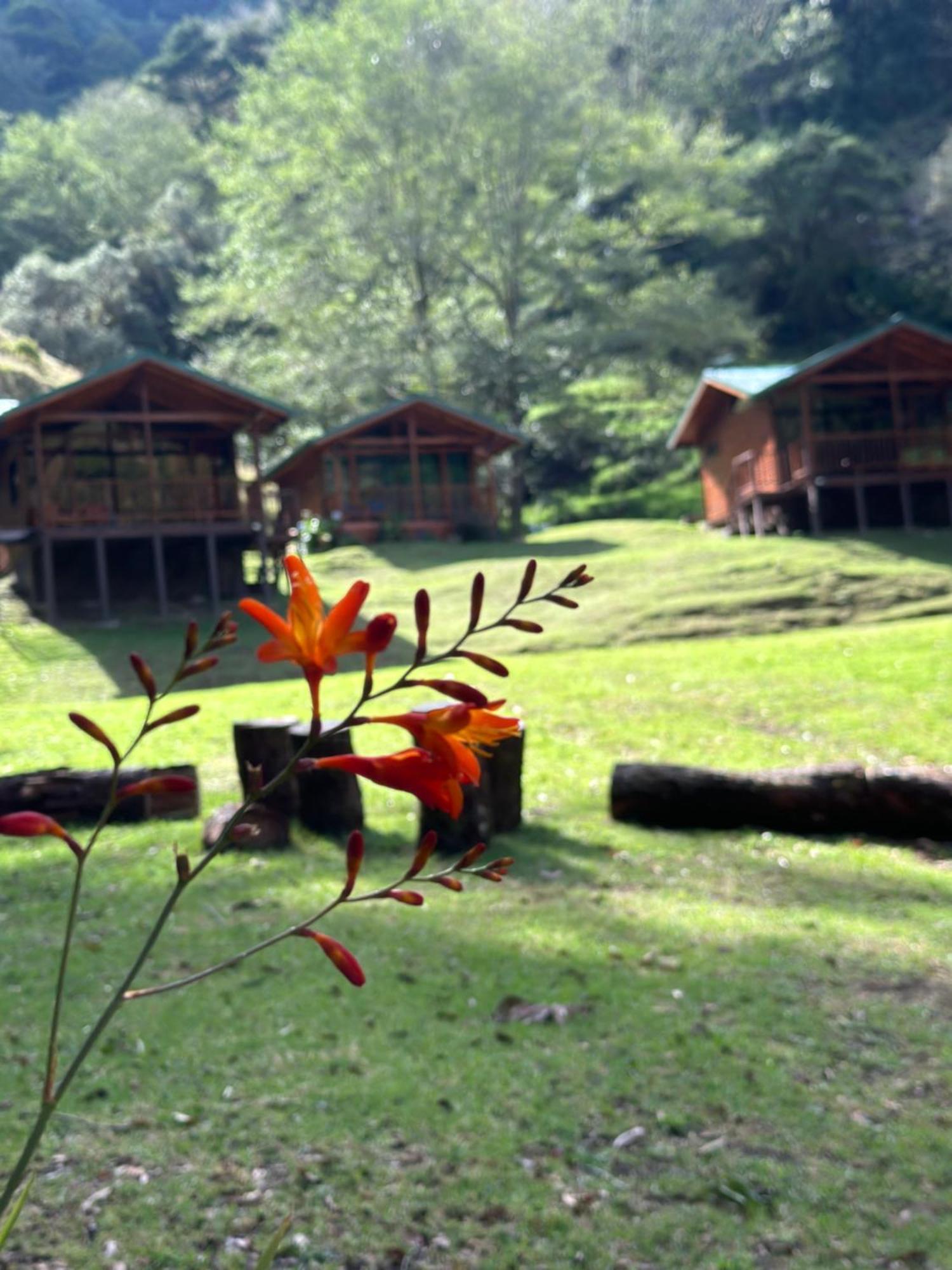 Entre Arboles Lodge San Gerardo de Dota Luaran gambar