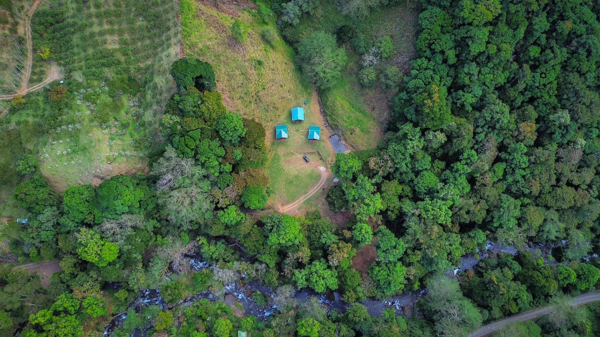 Entre Arboles Lodge San Gerardo de Dota Luaran gambar