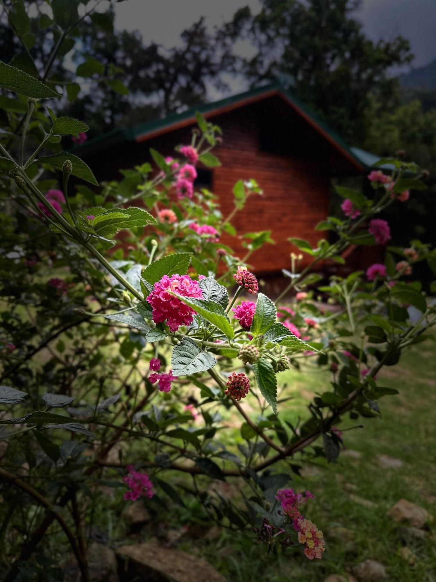 Entre Arboles Lodge San Gerardo de Dota Luaran gambar