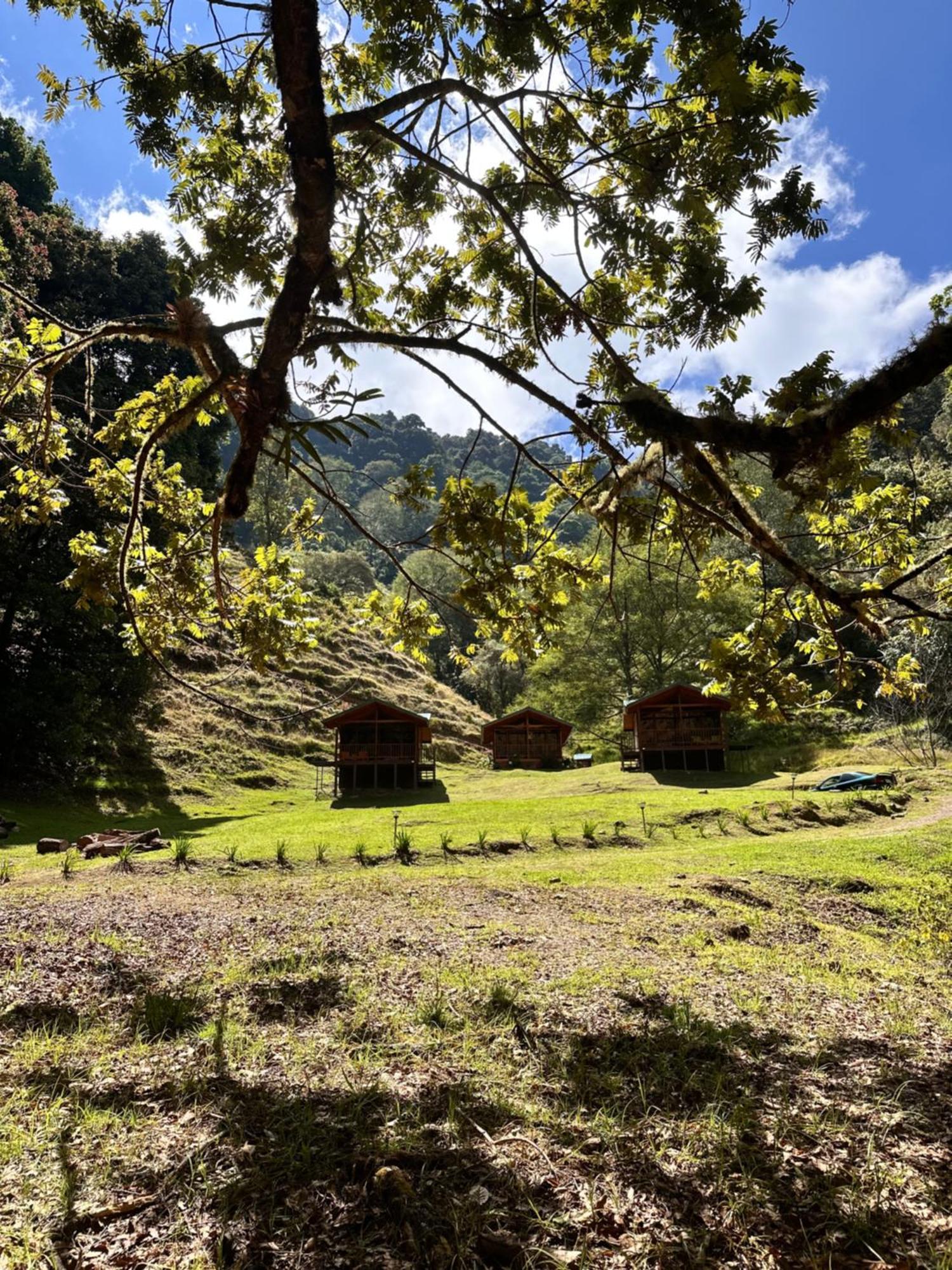 Entre Arboles Lodge San Gerardo de Dota Luaran gambar